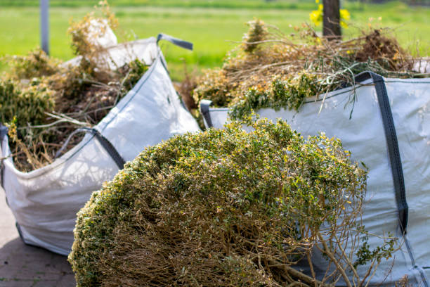 Debris Removal in Loudon, TN